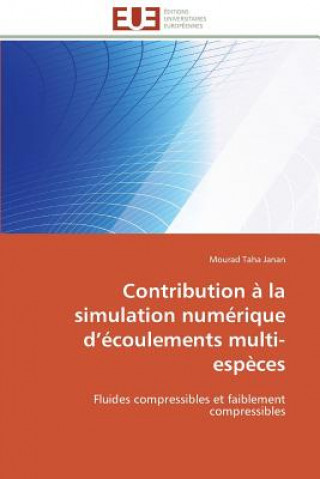 Carte Contribution   La Simulation Num rique D  coulements Multi-Esp ces Mourad Taha Janan