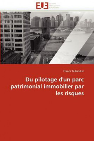 Kniha Du Pilotage d'Un Parc Patrimonial Immobilier Par Les Risques Franck Taillandier
