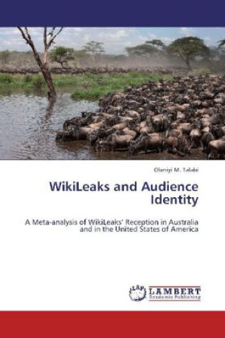 Buch WikiLeaks and Audience Identity Olaniyi M. Talabi