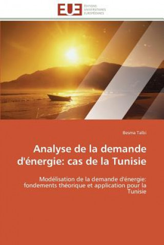 Buch Analyse de la Demande d' nergie Besma Talbi