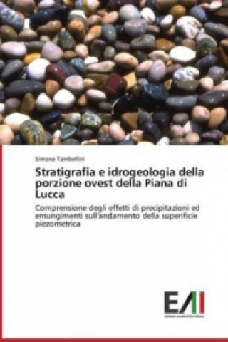 Kniha Stratigrafia e idrogeologia della porzione ovest della Piana di Lucca Simone Tambellini