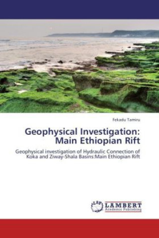 Kniha Geophysical Investigation: Main Ethiopian Rift Fekadu Tamiru