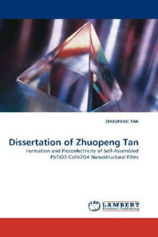 Livre Dissertation of Zhuopeng Tan Tan Zhoupeng