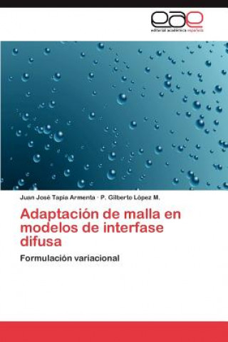 Carte Adaptacion de malla en modelos de interfase difusa Juan José Tapia Armenta