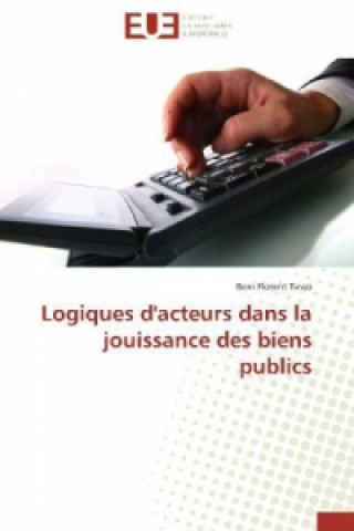 Carte Logiques d'acteurs dans la jouissance des biens publics Boni Florent Tasso