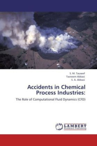 Kniha Accidents in Chemical Process Industries S. M. Tauseef