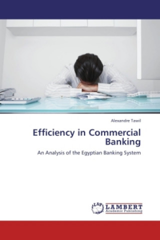 Книга Efficiency in Commercial Banking Alexandre Tawil