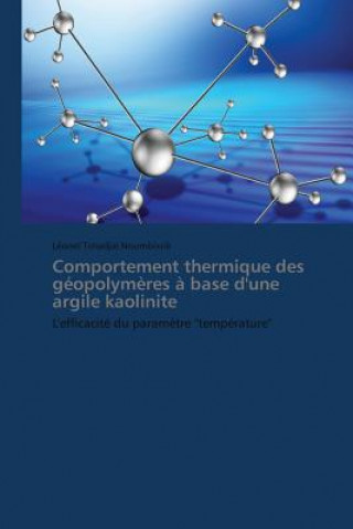 Carte Comportement Thermique Des Geopolymeres A Base d'Une Argile Kaolinite Léonel Tchadjié Noumbissié