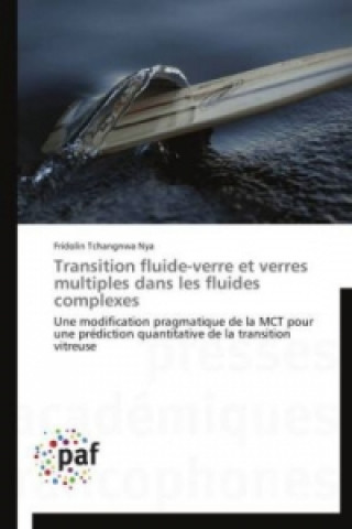 Knjiga Transition fluide-verre et verres multiples dans les fluides complexes Fridolin Tchangnwa Nya