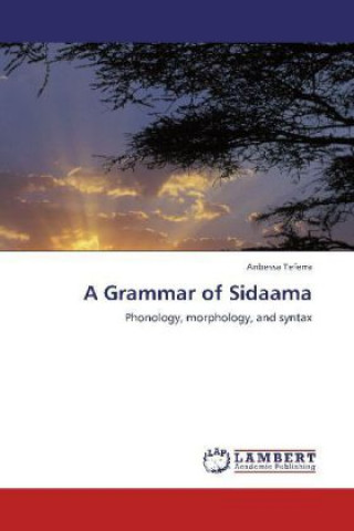 Carte Grammar of Sidaama Anbessa Teferra