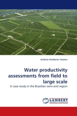 Könyv Water productivity assessments from field to large scale Antônio Heriberto Teixeira