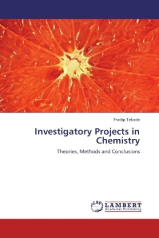 Könyv Investigatory Projects in Chemistry Pradip Tekade