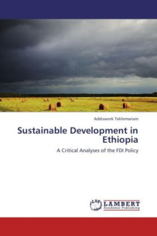 Książka Sustainable Development in Ethiopia Addiswork Teklemariam