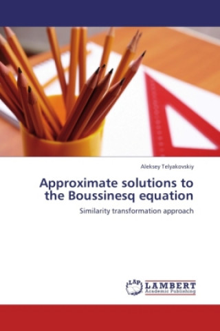 Buch Approximate solutions to the Boussinesq equation Aleksey Telyakovskiy