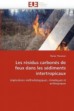 Carte Les R sidus Carbon s de Feux Dans Les S diments Intertropicaux Florian Thevenon