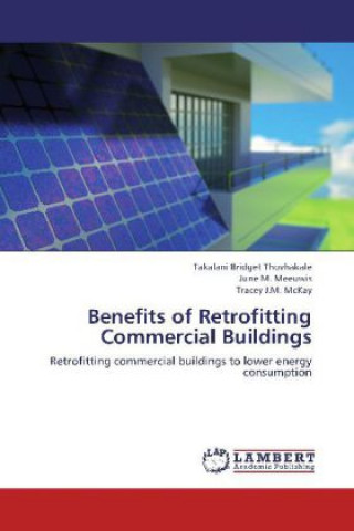 Kniha Benefits of Retrofitting Commercial Buildings Takalani Bridget Thovhakale