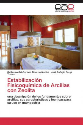 Carte Estabilizacion Fisicoquimica de Arcillas con Zeolita Guillermo-Del-Carmen Tiburcio-Munive