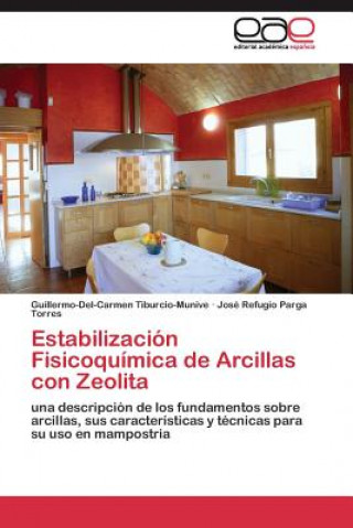 Knjiga Estabilizacion Fisicoquimica de Arcillas con Zeolita Guillermo-Del-Carmen Tiburcio-Munive