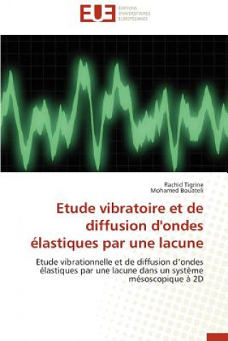 Knjiga Etude Vibratoire Et de Diffusion d'Ondes  lastiques Par Une Lacune Rachid Tigrine