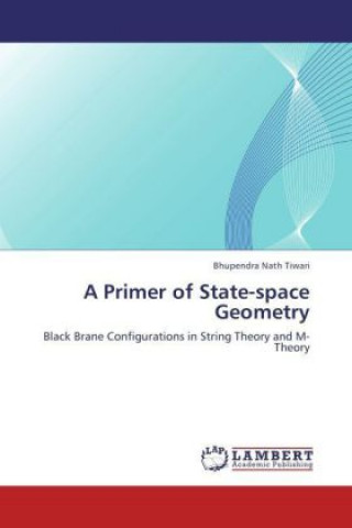 Kniha A Primer of State-space Geometry Bhupendra Nath Tiwari