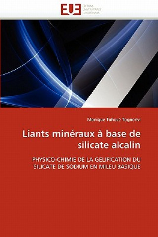 Knjiga Liants mineraux a base de silicate alcalin Monique Tohoué Tognonvi