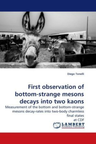 Knjiga First observation of bottom-strange mesons decays into two kaons Diego Tonelli