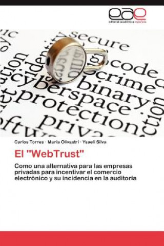 Könyv Webtrust Carlos Torres