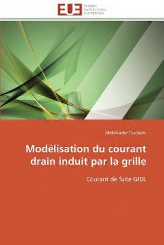 Carte Mod lisation Du Courant Drain Induit Par La Grille Abdelkader Touhami