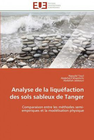 Kniha Analyse de la Liqu faction Des Sols Sableux de Tanger Naoufal Touil