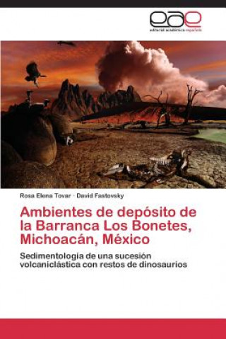 Livre Ambientes de deposito de la Barranca Los Bonetes, Michoacan, Mexico Rosa Elena Tovar