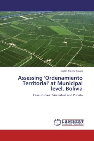 Kniha Assessing 'Ordenamiento Territorial' at Municipal level, Bolivia Carlos Troche Souza
