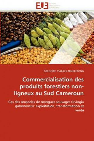 Carte Commercialisation Des Produits Forestiers Non-Ligneux Au Sud Cameroun Gregoire Tsafack Ninglepong