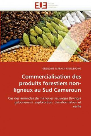 Książka Commercialisation Des Produits Forestiers Non-Ligneux Au Sud Cameroun Gregoire Tsafack Ninglepong