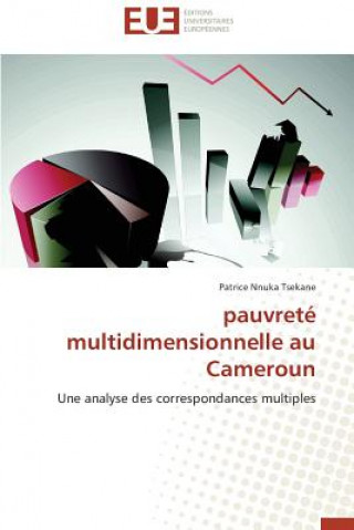 Kniha Pauvrete multidimensionnelle au cameroun Patrice Nnuka Tsekane
