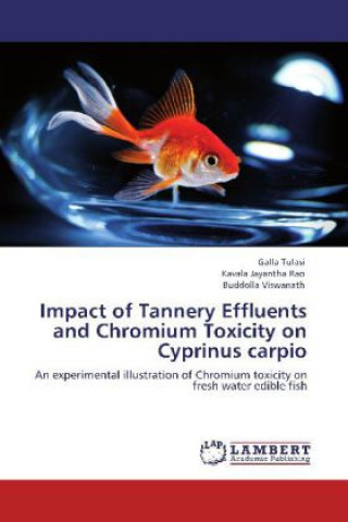 Kniha Impact of Tannery Effluents and Chromium Toxicity on Cyprinus carpio Galla Tulasi