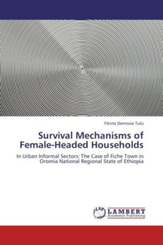Carte Survival Mechanisms of Female-Headed Households Fikirte Demissie Tulu