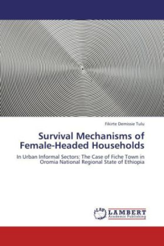 Kniha Survival Mechanisms of Female-Headed Households Fikirte Demissie Tulu