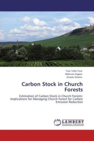 Kniha Carbon Stock in Church Forests Tulu Tolla Tura