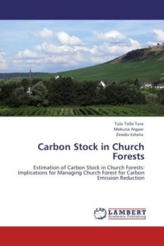 Knjiga Carbon Stock in Church Forests Tulu Tolla Tura