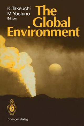 Kniha Global Environment Kei Takeuchi