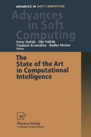 Kniha State of the Art in Computational Intelligence Vladimir Kvasnicka