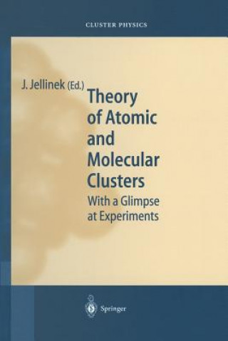 Kniha Theory of Atomic and Molecular Clusters Julius Jellinek