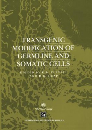 Kniha Transgenic Modification of Germline and Somatic Cells R. B. Flavell