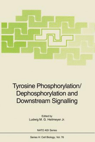 Könyv Tyrosine Phosphorylation/Dephosphorylation and Downstream Signalling Ludwig M. G. Jr. Heilmeyer