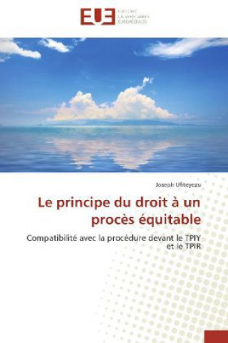 Knjiga Le principe du droit à un procès équitable Joseph Ufiteyezu