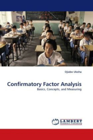 Knjiga Confirmatory Factor Analysis Ojiabo Ukoha