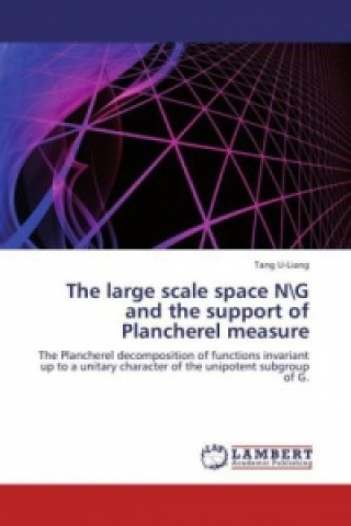 Kniha The large scale space NG and the support of Plancherel measure Tang U-Liang