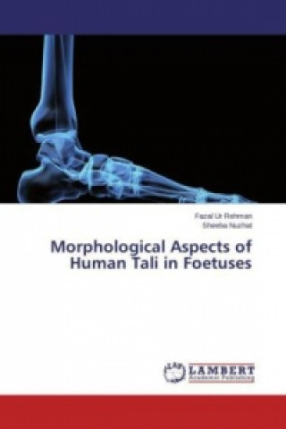 Książka Morphological Aspects of Human Tali in Foetuses Fazal Ur Rehman