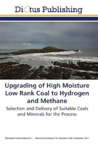 Carte Upgrading of High Moisture Low Rank Coal to Hydrogen and Methane European Commission European Commission