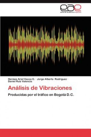 Knjiga Analisis de Vibraciones Hermes Ariel Vacca G.